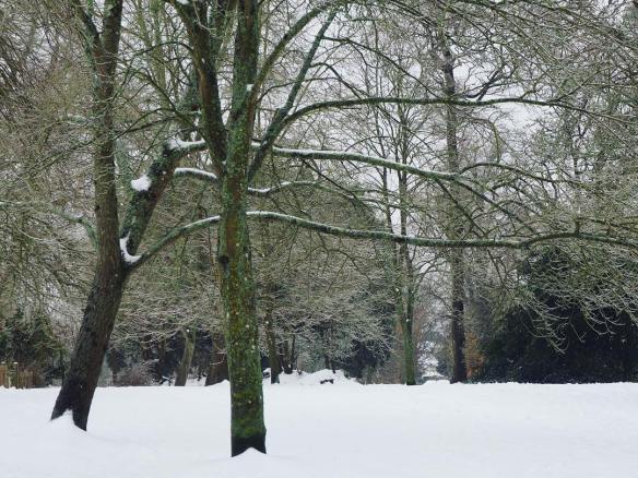 28337877_10156141609213544_3774419710853527264_o