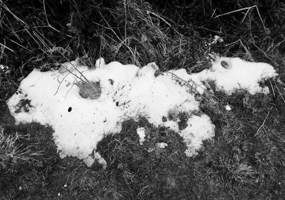 28514947_10156150511493544_4551532097241846966_o