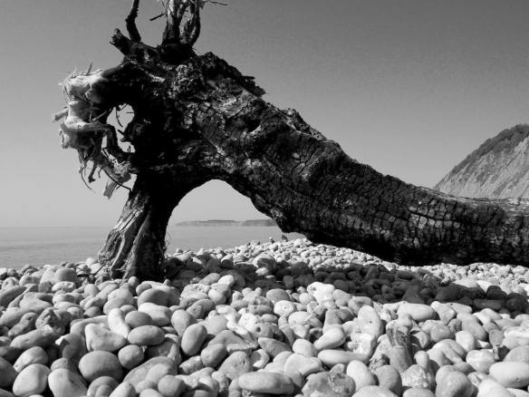 31945300_10156316525253544_6898884566019211264_o