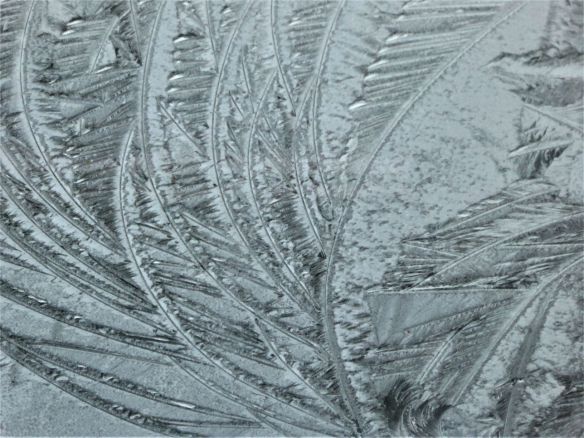 frost1