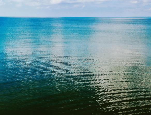 60850060_10157257127258544_6756331212735774720_o