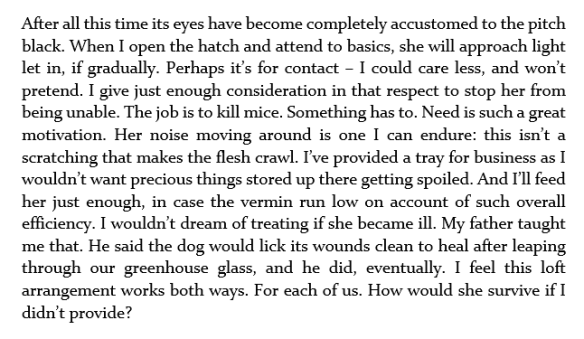 cat in the loft image