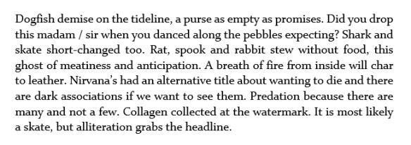 mermaid's purse image