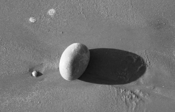 82841617_10157877841063544_8934301908697350144_n