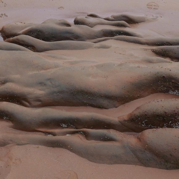 89736679_10158069968863544_4453222641695719424_o