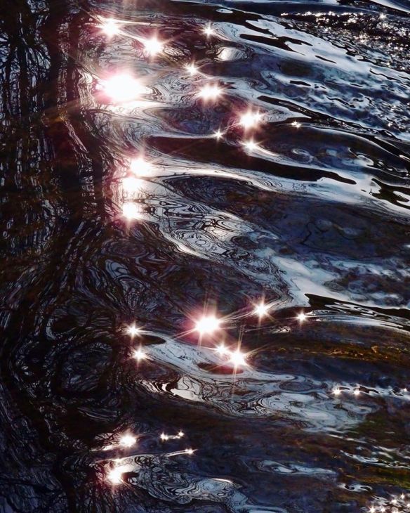 90636033_10158114506613544_737967143429079040_o