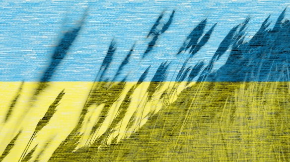 march breeze in the reeds - Copy