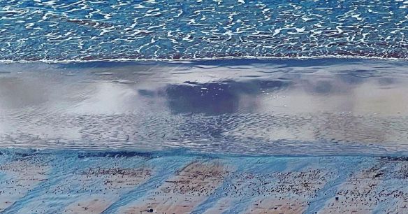 344204021_763294438598756_2498390017254142387_n