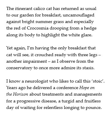 calico