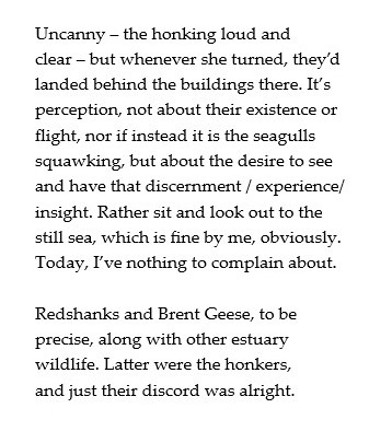 River Otter Estuary2