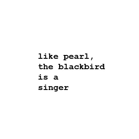 pearl blackbird